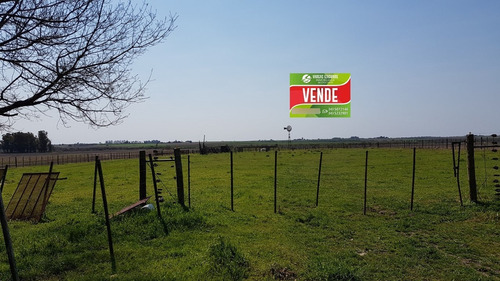 Imagen 5 de 7 de Campo Mixto 388 Has Don Cristóbal Nogoya Entre Rios