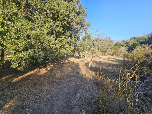 Vendo Hermoso Terrenos En Olmué Sector Quebrada Alvarado