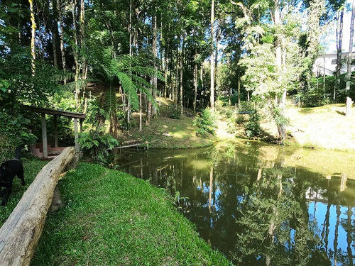 Imagem 16 de 30 de Linda Chácara À Venda No Bairro Miringuava Em São José Dos Pinhais, Com Aproximadamente 20 Mil Metros De Terreno! - Ch00004 - 68976597