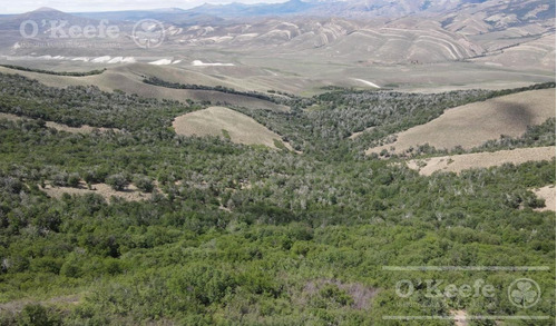Imagen 5 de 24 de Campo De 2400 Has En Venta En Bariloche - Patagonia Argentina - Fly Fishing