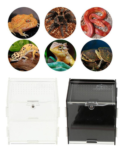 Nuevo Caja De Cría Tortuga Arañas Accesorios De Blanco 1