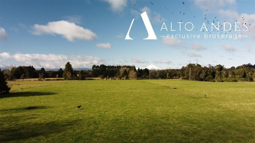 Imagen 3 de 18 de Sitio En Venta En Puyehue