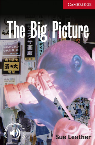 Libro The Big Picture - Leather, Sue