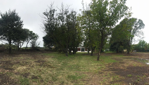 Imagen 26 de 30 de Terreno - Ibarlucea