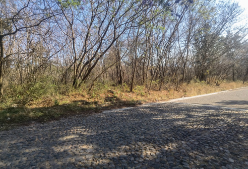Venta De Lote San Diego 53 Mz Xvi Muy Cerca Del Acceso Y Sobre Av Principal Con Bonita Vista En Fracc Rancho San Diego Ixtapan De La Sal Edomex
