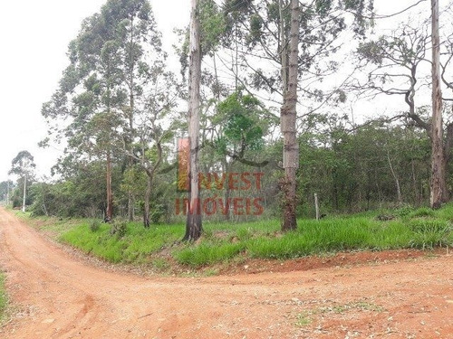 Imagem 1 de 10 de Terreno - Ref: 6703 - V-6703