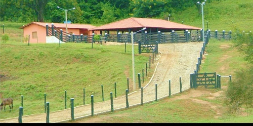 Imagem 8 de 13 de Fazenda 422 Alqueires, Dupla Aptidão, Rica Em Água Com Rio, Ribeirão, Açudes E Nascentes Na Propriedade, Poço Artesiano, Curral, Piquete, Casa Sede - Fa00192 - 70548047