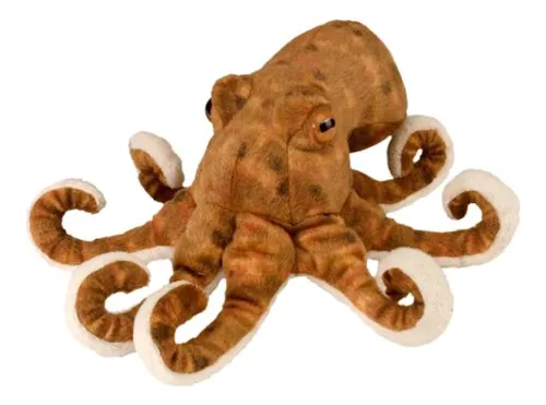 Pulpo reversible trujillo sale