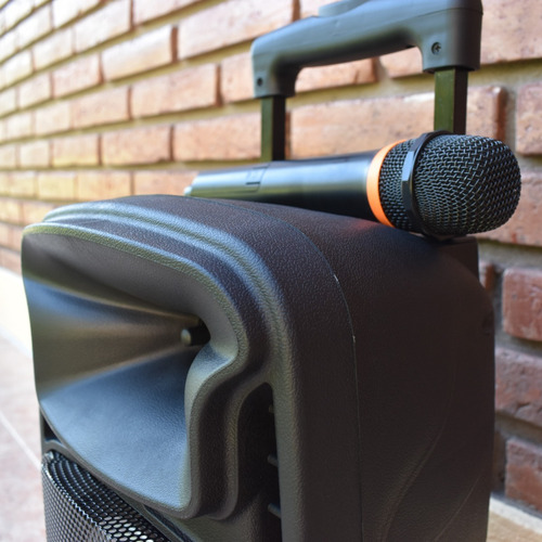 Parlante Portatil Carrito Con Bluetooth, Ecualizador, Led, Fm Y Mic Inalambrico Nspa8b
