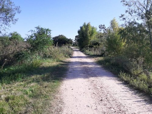 Terreno - Nueva Palmira