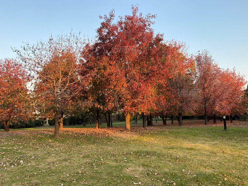 Terreno Lote En Venta En Santa Guadalupe, Pilar Del Este, G.b.a. Zona Norte