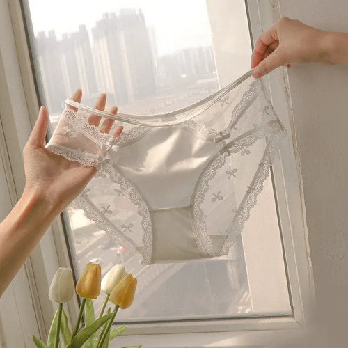Calzoncillos De Malla De Cintura Baja Para Mujer, Ropa Inter