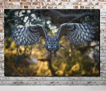 Comprar Cuadro Decorativo Búho. Animales. 56x86cm.