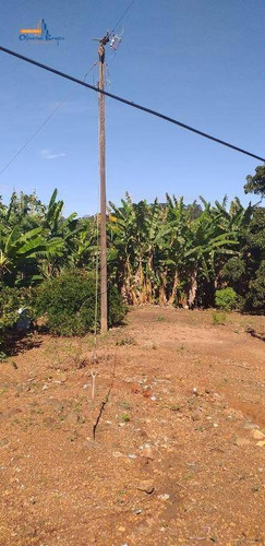 Chácara Com 1 Dormitório À Venda, 11700 M² Por R$ 420.000,00 - São Lourenço - Anápolis/go - Ch0078