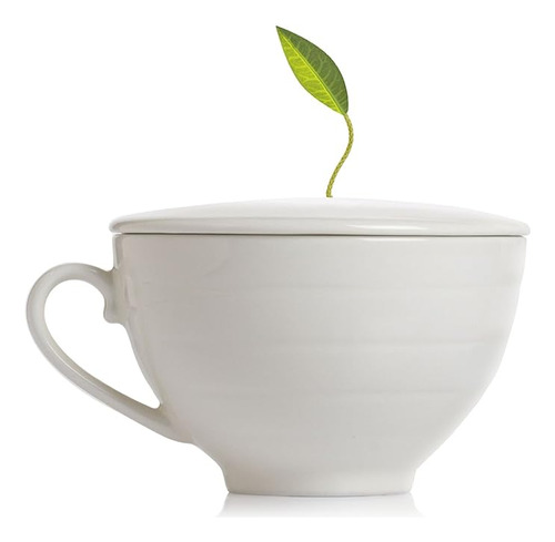 Tea Forte Te Porcelana Y Tapa Cubierta Personalizada Mantien