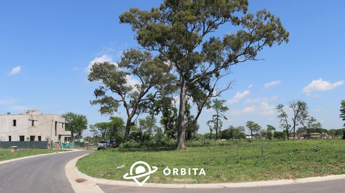 Lote En Venta En Village Plaza, Bella Vista