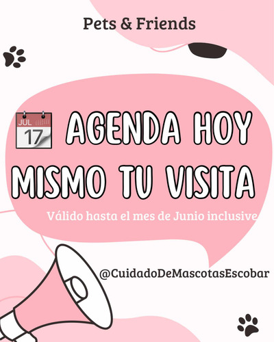 Cuidado De Mascotas A Domicilio Zona Norte, Escobar