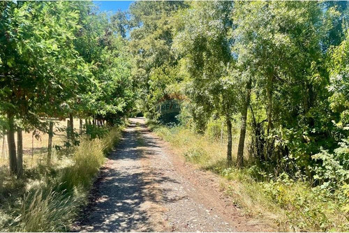 Venta De Parcela En Comuna De Cunco, Ruta S-61
