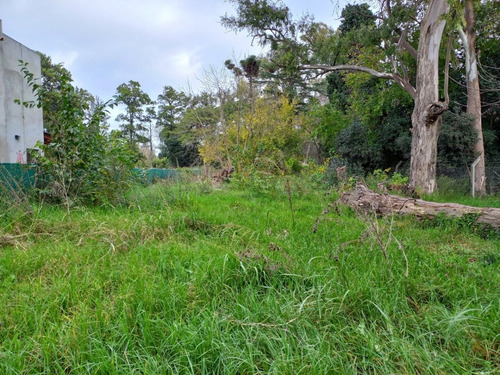 Imagen 8 de 9 de Terreno En Venta. Oportunidad
