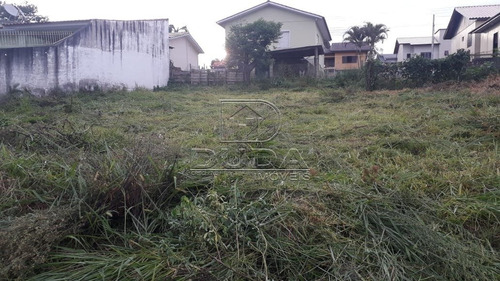 Imagem 3 de 4 de Terreno - Primeiro De Maio - Ref: 28266 - V-28264