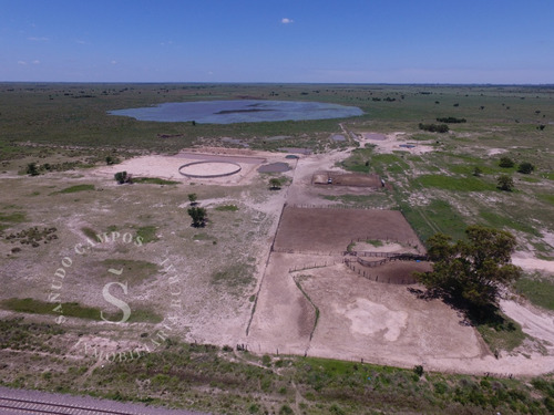 Campo Ganadero Sobre Ruta. Esteban Rams, Santa Fe. 807 Has.