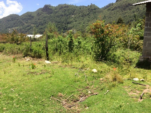 Imagen 4 de 4 de Terreno En Renta En La Col. Explanada Del Carmen
