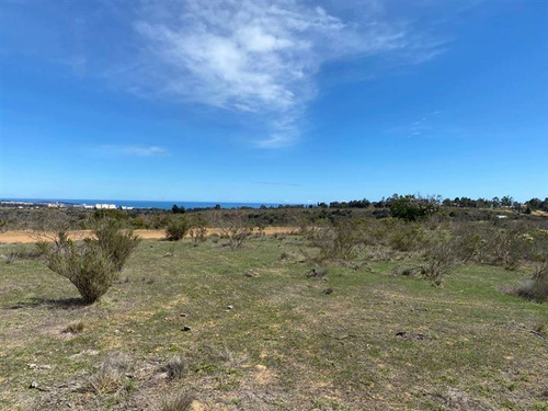 Parcelas En Algarrobo Terrenos De 5 Hectáreas Rol Propio