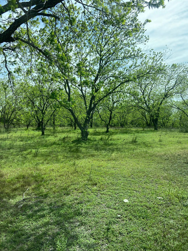 Terreno En Venta En Cadereyta