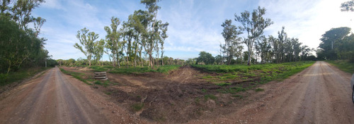 Terreno - Parana