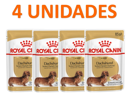 Royal Canin Dachshund Salchicha Perro Sobrecito Pouch 4u 85g