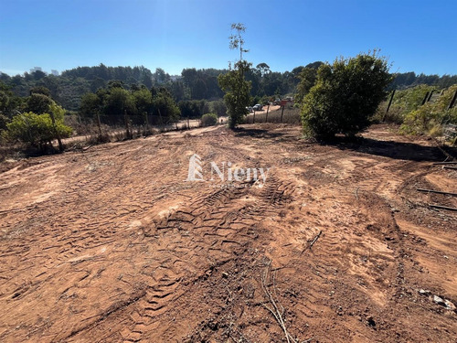 Venta Terreno Reñaca Los Pinos