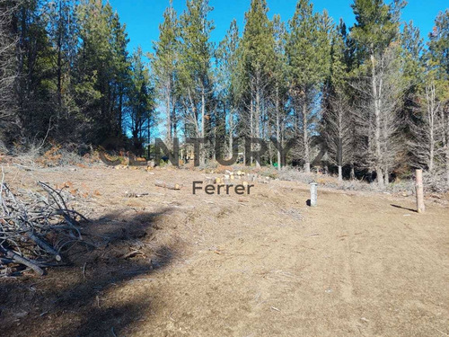 Imagen 14 de 14 de Lote En Venta - Bariloche - Dina Huapi - Loteo Dina Hue - Id: 46806
