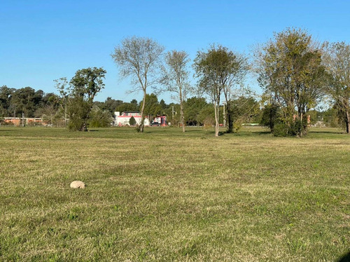 Imagen 7 de 22 de Venta Lotes Los Olmos C/ Financiacion