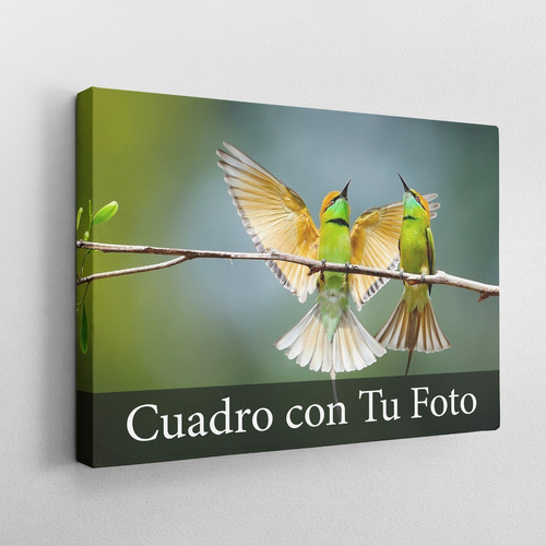 Cuadro Canvas 45x60 Personalizado -  Foto Lienzo 