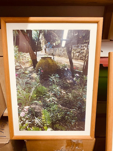 Cuadros Con Fotografías De Un Jardín Zona Central De Chile