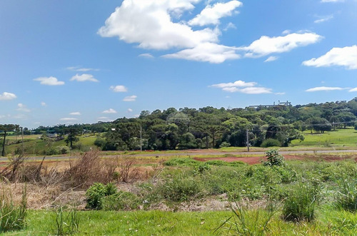 Terreno - Residencial - 926080