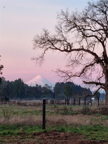 Imagen 5 de 22 de A Minutos De Frutillar Se Vende Linda Y Cómoda Casa