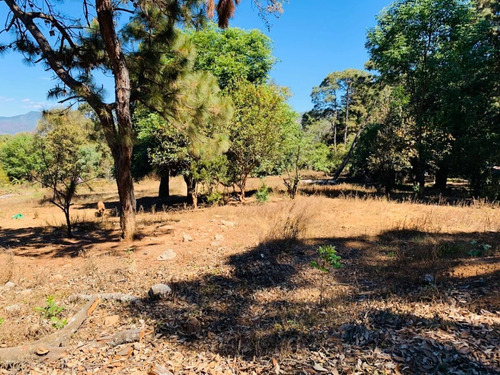 Imagen 2 de 5 de Terreno En Venta