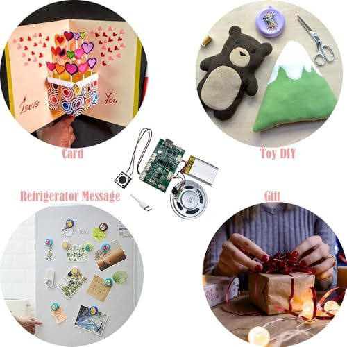 Gikfun Pack: Mdulo De Sonido Grabable Para Proyectos Diy