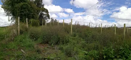 Hermosa Finca En Venta En El Municipio De La Unión Antioquia ~