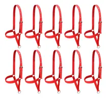 Comprar Kit 10 Cabrestos Fita P\u002F Bezerro Bode Carneiro Ovino Caprino