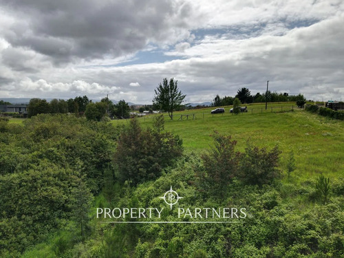 Terrenos Con Hermoso Bosque Dentro De Condominio