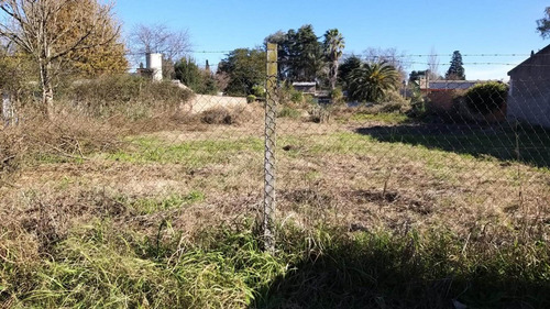 Imagen 9 de 16 de Venta De Amplio Terreno En Paso Del Rey, Villa Zapiola