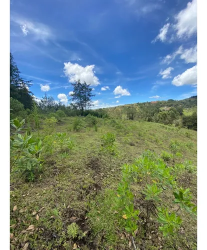Vendo Lote En Guarne Vereda Yolombal 7485 M2