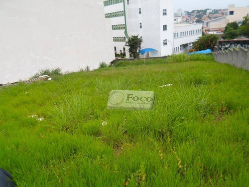 Imagem 5 de 7 de Terreno Residencial À Venda, Parque Renato Maia, Guarulhos - Te0061. - Te0061