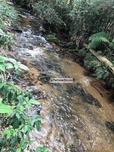 Imagem 4 de 30 de Chácara 12.000 M, Com Cachoeira - Ch0075
