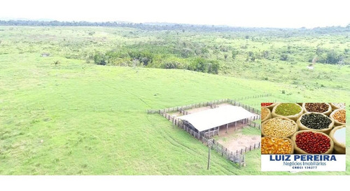 Imagem 3 de 14 de Fazenda À Venda Em Anapu - Pa - De 400 Alqueirões (pecuária) - 1661