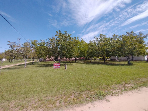 Imagen 4 de 6 de Lote Residencial En Costa Nogales