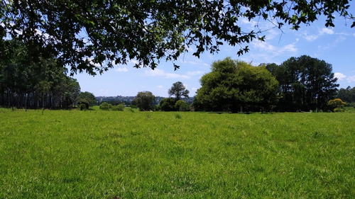 Imagen 10 de 21 de Lote En Venta 1219m2 En Puerto Rico - Loteo Clemens Blick