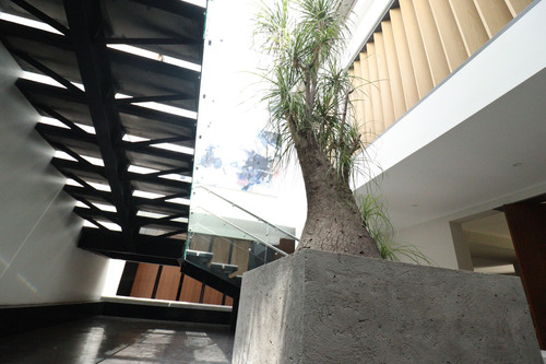Imagen 10 de 30 de Casa En Venta En Jardines Del Pedregal En Calle Cantera